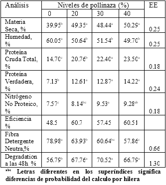 Alimentos bovinos con caña de azúcar y pollinaza