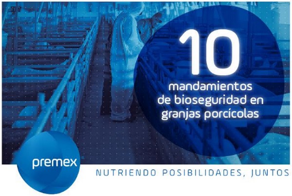 Impacto del estrés y estrategias de manejo en cerdos