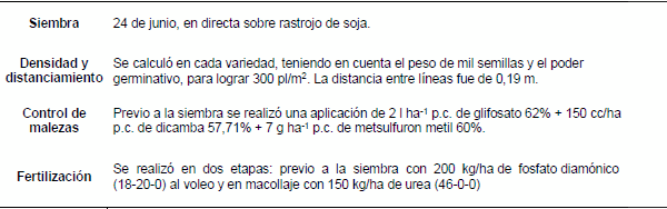 Corte de cereales de invierno para ensilaje