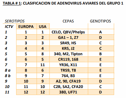 Agente Etiológico de HCI en Avicultura