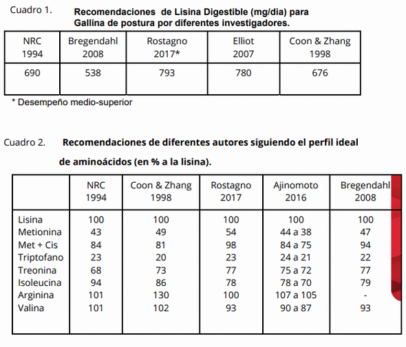 Fases nutricionales en pollitas de postura