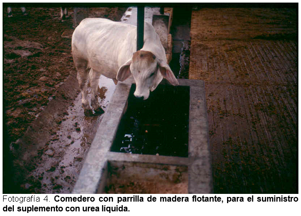 Melaza de Caña 2,5KG. Para alimentación de ganado vacuno y ovino