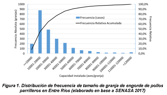 Cria Pollos Parrilleros. Engormix