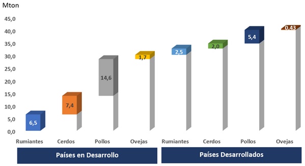 Pechuga Madera: Impacto económico en calidad de carne de pollo
