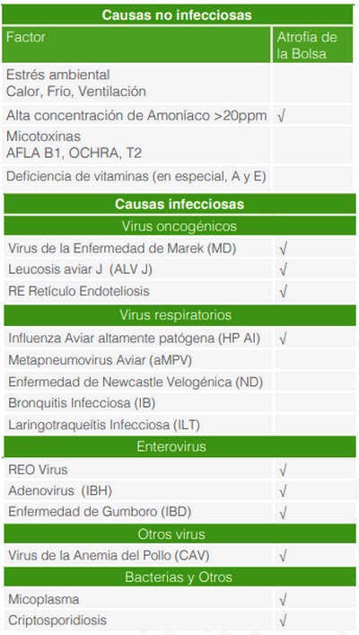 Principales Enfermedades Virales Inmunosupresoras en Pollos