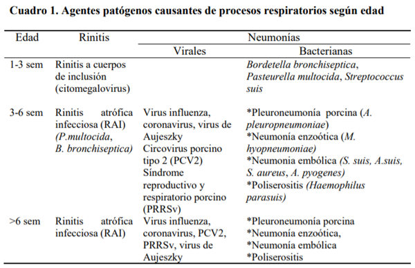 Infecciones sistémicas porcinas: PCVAD y PMWS