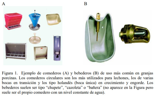 Maternidades porcinas: diseño y reducción de mortalidad
