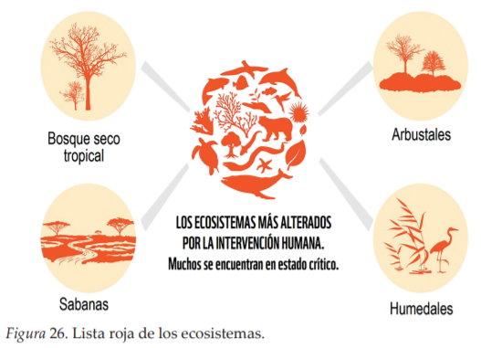 Especies arbóreas clave para sistemas silvopastoriles y sus beneficios