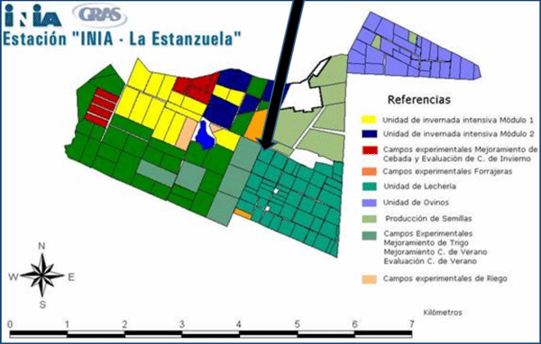 Densidad de Siembra y Producción de Forraje de Alfalfa