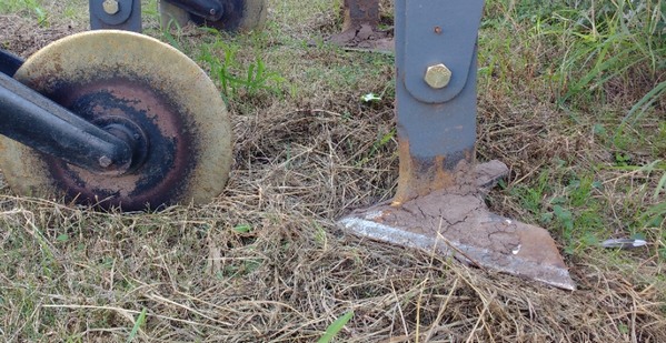 Control de malezas invernales en siembra directa sin utilización de herbicidas: resultados de ensayos con labranza de mínima remoción - Image 1