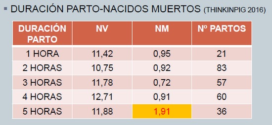Atención del parto, un punto clave en la producción porcina.. - Image 1
