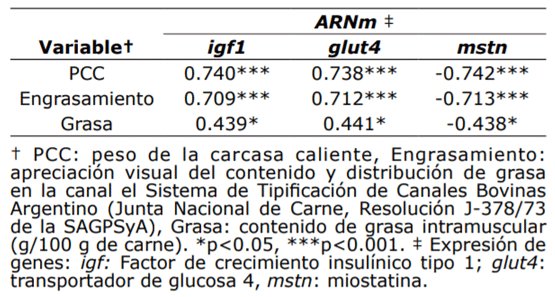 Tabla 2. Coeficientes de correlación entre los parámetros instrumentales relativos a la calidad de las canales y la carne y la expresión de los genes igf1, glut4 y mstn.