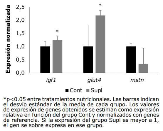 Figura 1. Expresión relativa de los genes igf1, glut4 y mstn en muestras de longissimus dorsi de animales terminados en pasturas tropicales (Cont) o con suplementación de silo de maíz (Supl). Los resultados del tratamiento suplementado fueron normalizados con el tratamiento pastura.