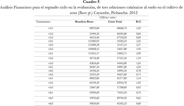 Respuesta de seis cultivares de rosa (Rosa sp.) a tres relaciones catiónicas del suelo. Cayambe, Pichincha - Image 7