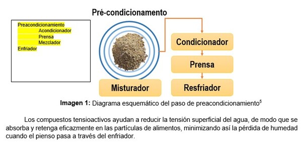 Preacondicionamiento: gelatinización y PDI