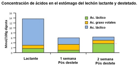Gráfico de concentración de ácidos gástricos en lechones lactantes y destetados.