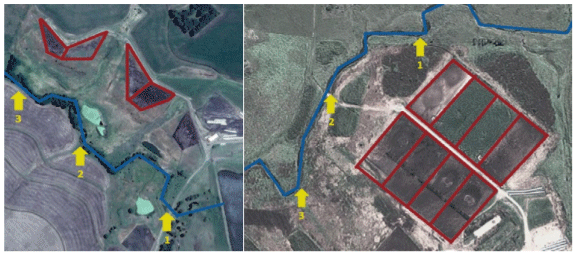 Impacto de feedlots en la calidad del agua superficial