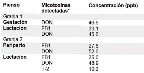 Transmisión de micotoxinas de las cerdas a los lechones - Image 1
