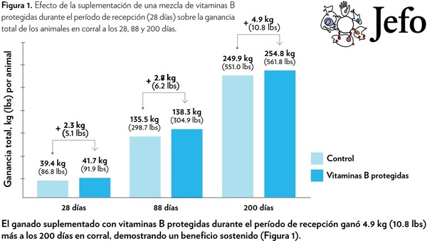 Efecto De Las Vitaminas B Protegidas Durante El Período De Recepción En ...