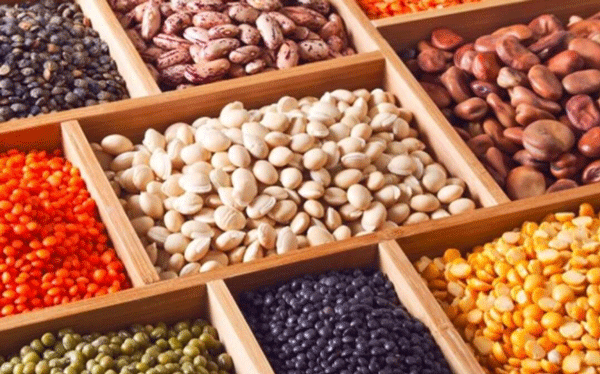 Efectos de Micotoxinas en Bovinos y Límites Dietéticos