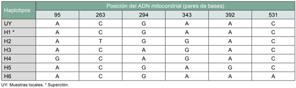 Plaga Emergente en Sorgo: Melanaphis sacchari/sorghi (Pulgón de la caña de azúcar) - Image 1