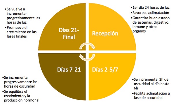 Intensidad de Luz en Broilers