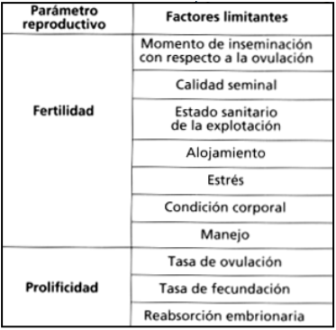 Manejo y estrés: claves para la fertilidad porcina