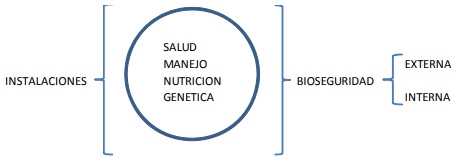 Manejo Estratégico de Hembras de Reemplazo para Máxima Productividad