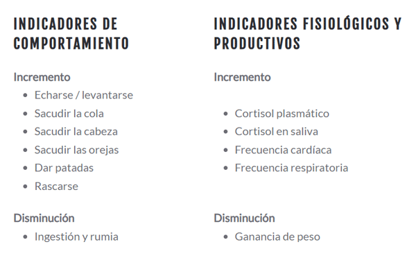 Desmochado por cauterización: Menos doloroso sin anestesia