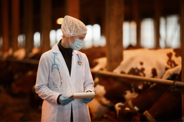 One Health: Clave contra Resistencia Antimicrobiana