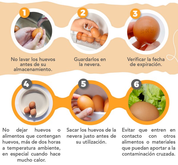 Contaminación Cruzada Y Manejo Del Huevo En La Cocina - Engormix