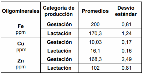 Nutrición mineral en cerdas: clave para la rentabilidad porcina