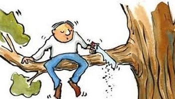 Evaluación de granjas avícolas antes de la llegada de pollitos