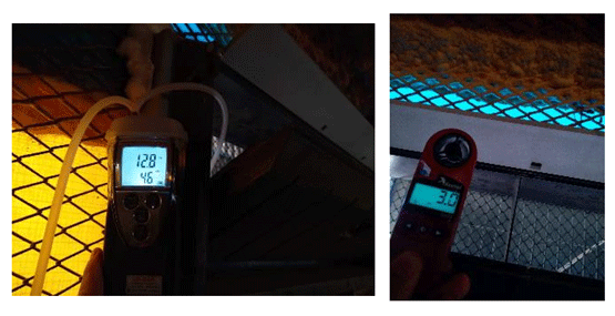 Ventilación mínima avícola: control de humedad y amoniaco