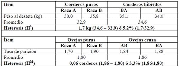 Peso vivo de los corderos mestizos respecto al promedio de las razas