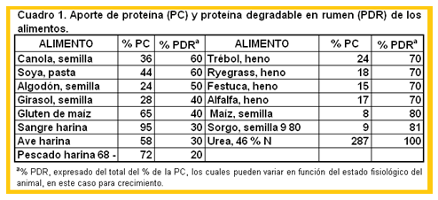 ENCUENTRAN PROTEINA LACTANCIA encuentran proteina lactancia: