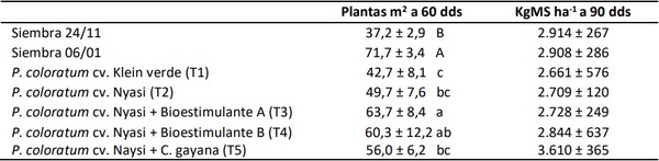 Implantación de megatérmicas en suelos salinos