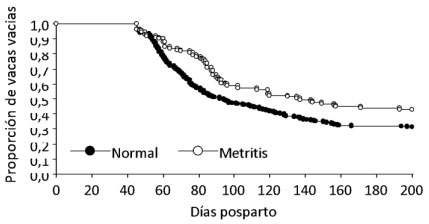 Criterios de diagnóstico de metritis puerperal