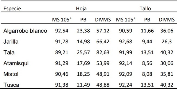 Especies leñosas nativas para suplementos bovinos