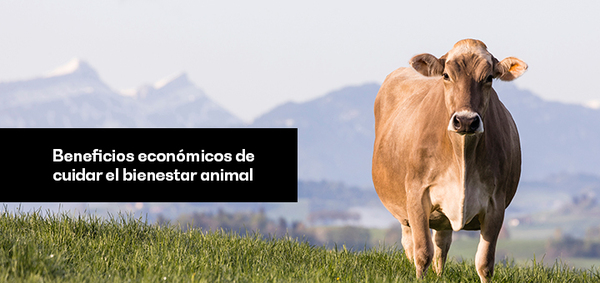 Densidad Óptima Vacas Lecheras y Ganado de Carne