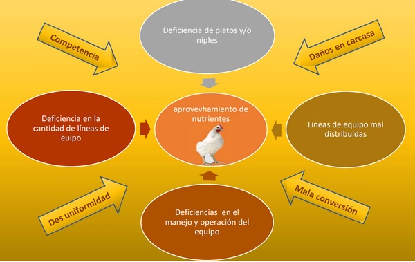 Diagrama sobre deficiencias en equipos avícolas y su impacto productivo.