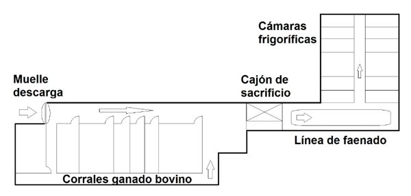 Mataderos especializados: clave para la calidad de carne de Lidia