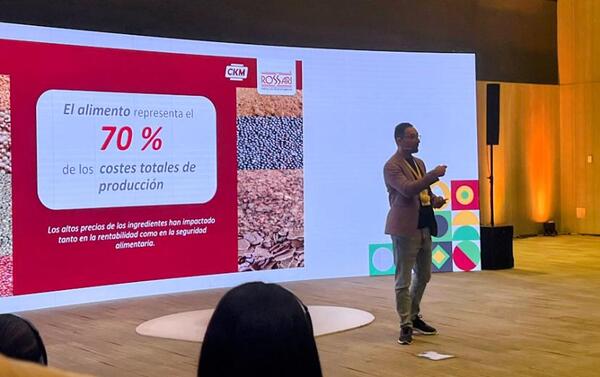 Enzimas exógenas: clave para la digestibilidad avícola