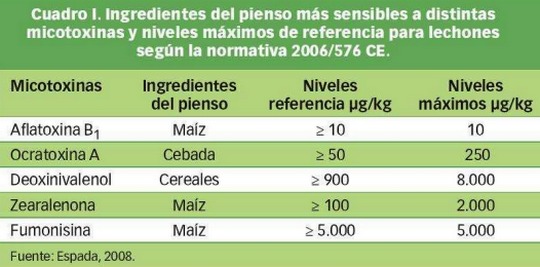 Detoxificación de Aflatoxinas en Cerdos