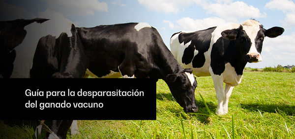 Toltrazuril para Coccidiosis por Eimeria en Terneros