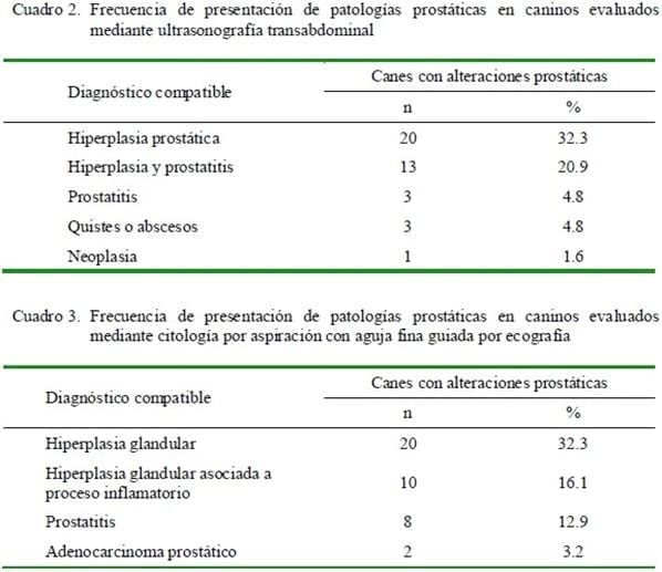 histopatología de la prostatitis supurativa canina histopatología de la prostatitis supurativa canina