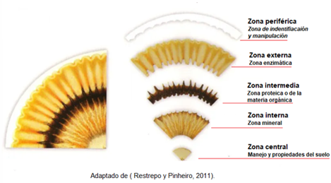 Cromatografía Pfeiffer en Arroz: Diagnóstico de Suelo