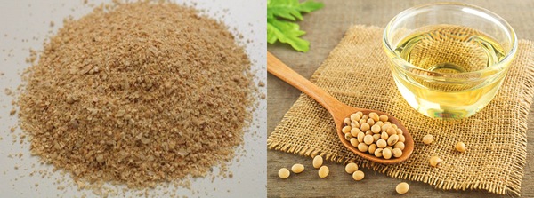 Variabilidad Nutricional de Harina de Soya