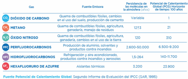 Actividad agraria y el mercado de carbono en Argentina | Engormix