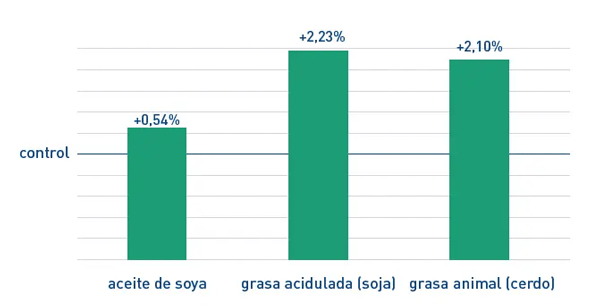 Emulsificantes nutricionales mejoran digestión de grasas en cerdos